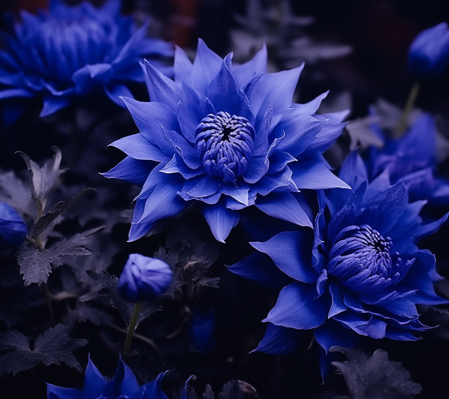 Blue Flower Painting: Dahlia Majesty Photorealism - Digital Artwork Loose Art Print