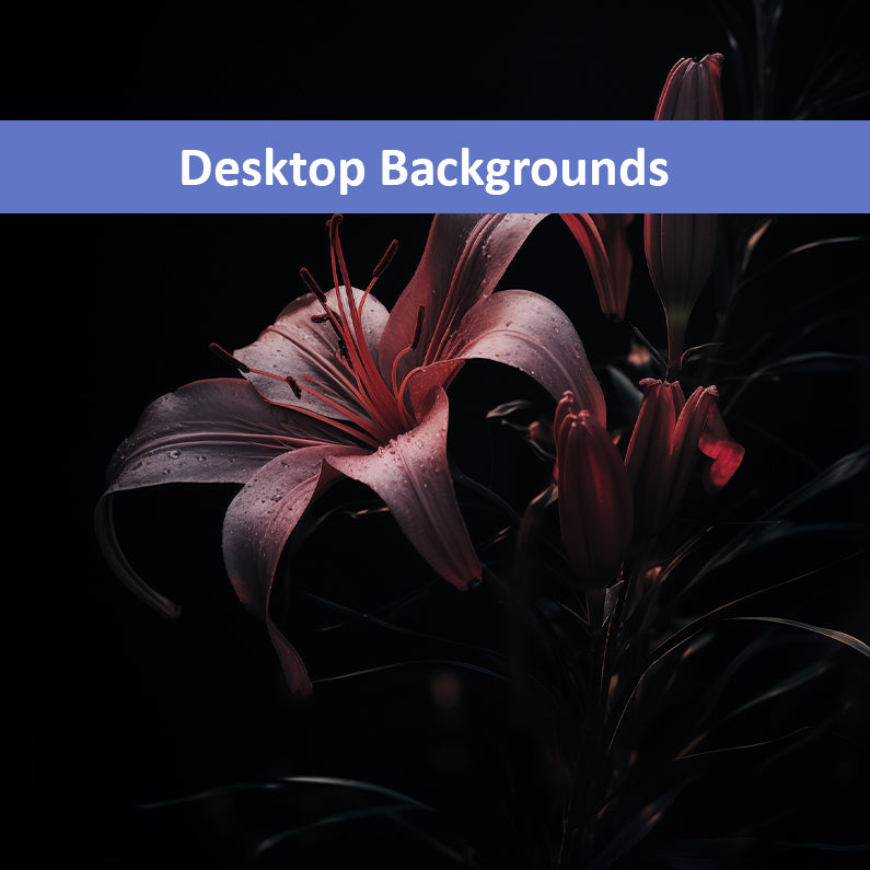 Darkest Desire Dark Floral Photorealistic Digital Artwork Wallpaper for Computer