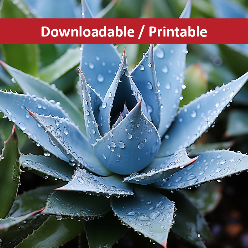 Delicate Agave Botanical Rustic Photorealistic Digital Artwork DIY Downloadable and Printable Wall Art Prints