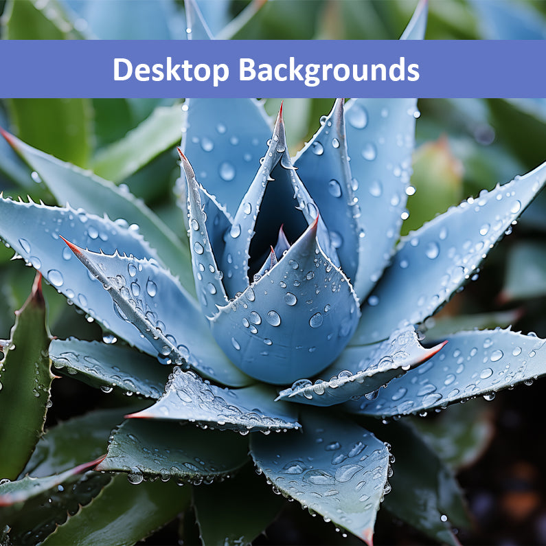 Delicate Agave Botanical Rustic Photorealistic Digital Artwork Wallpaper for Computer