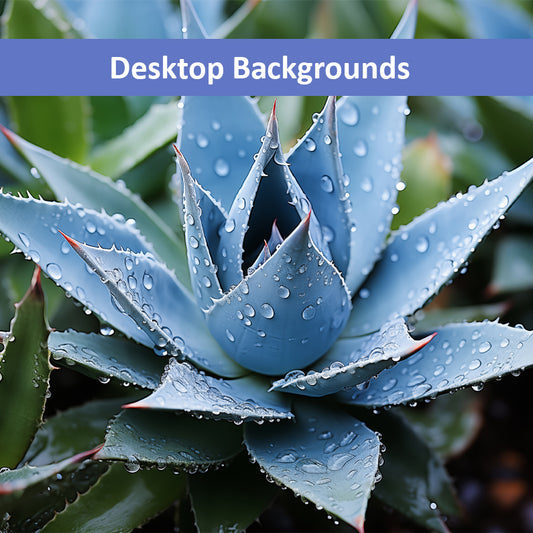 Delicate Agave Botanical Rustic Photorealistic Digital Artwork Wallpaper for Computer