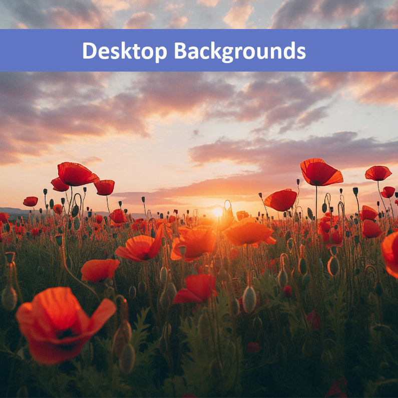 Downloadable Desktop Background Field of Memories Poppy Sunset Photorealistic Digital Artwork