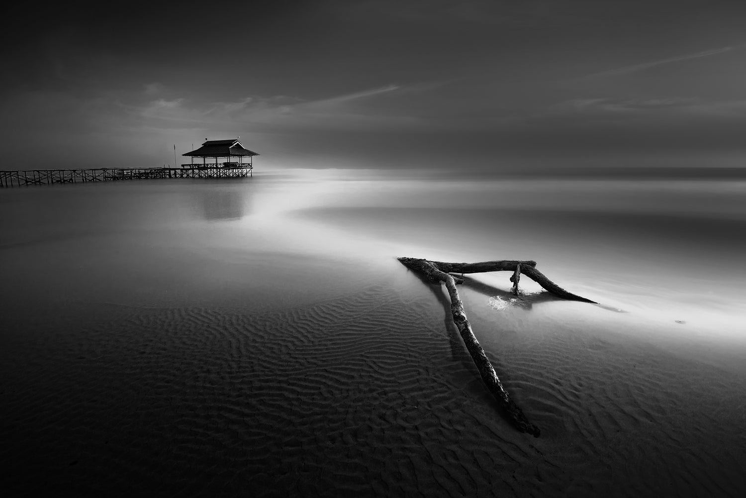 Dramatic_Beach_with_Driftwood_Black_and_White_copy.jpg
