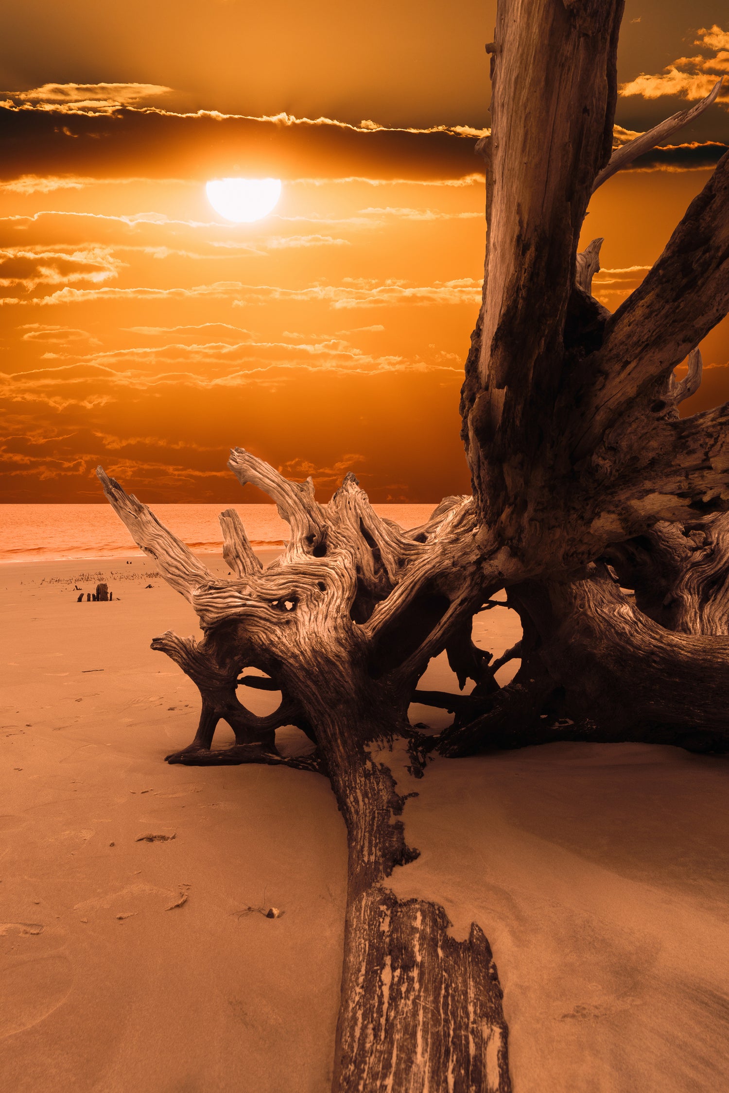Artwork and Home Decor of the Chesapeake Bay Area for your rustic / coastal and boho style homes