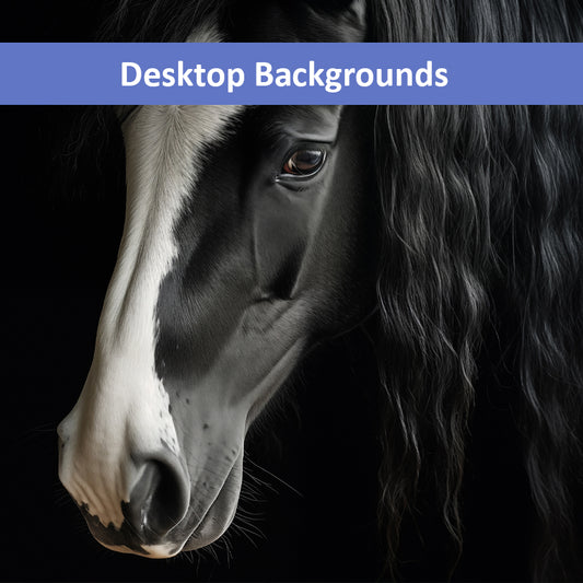 Ebony and Ivory Photorealistic Digital Artwork Wallpaper for Computer