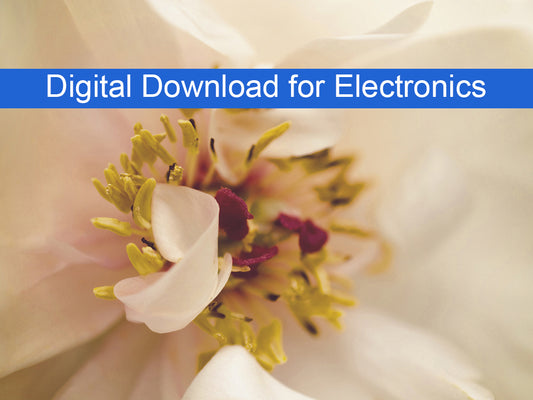 Eye of Peony Moody Midnight Nature Photography Wallpaper for Computer monitors Smart TVs and Laptop Screens