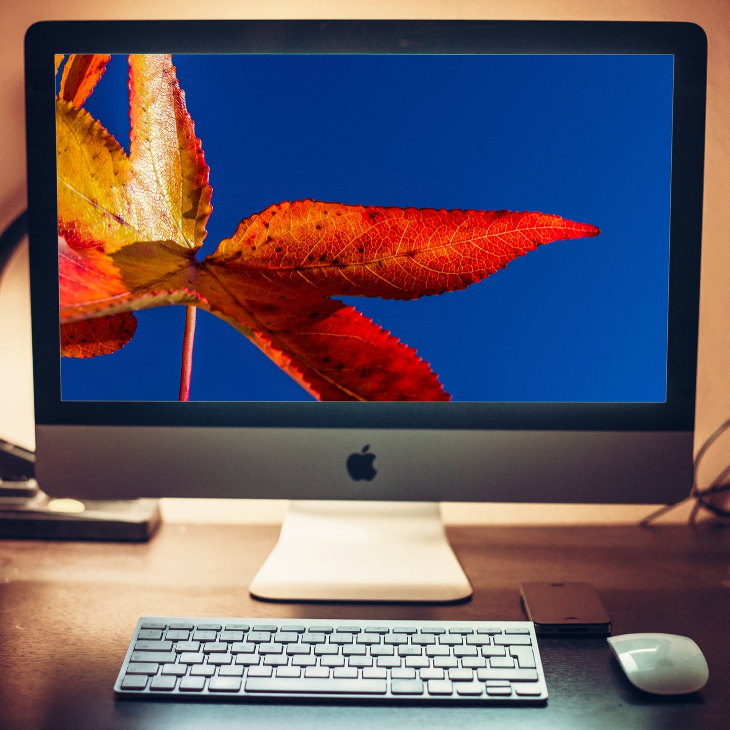 Fall Colors Nature Photography Wallpaper for Computer 2