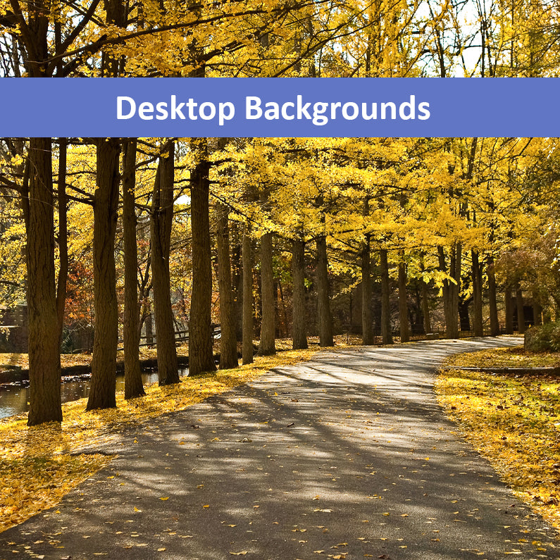 Fall Path Rustic Nature Landscape Photo Wallpaper for Computer