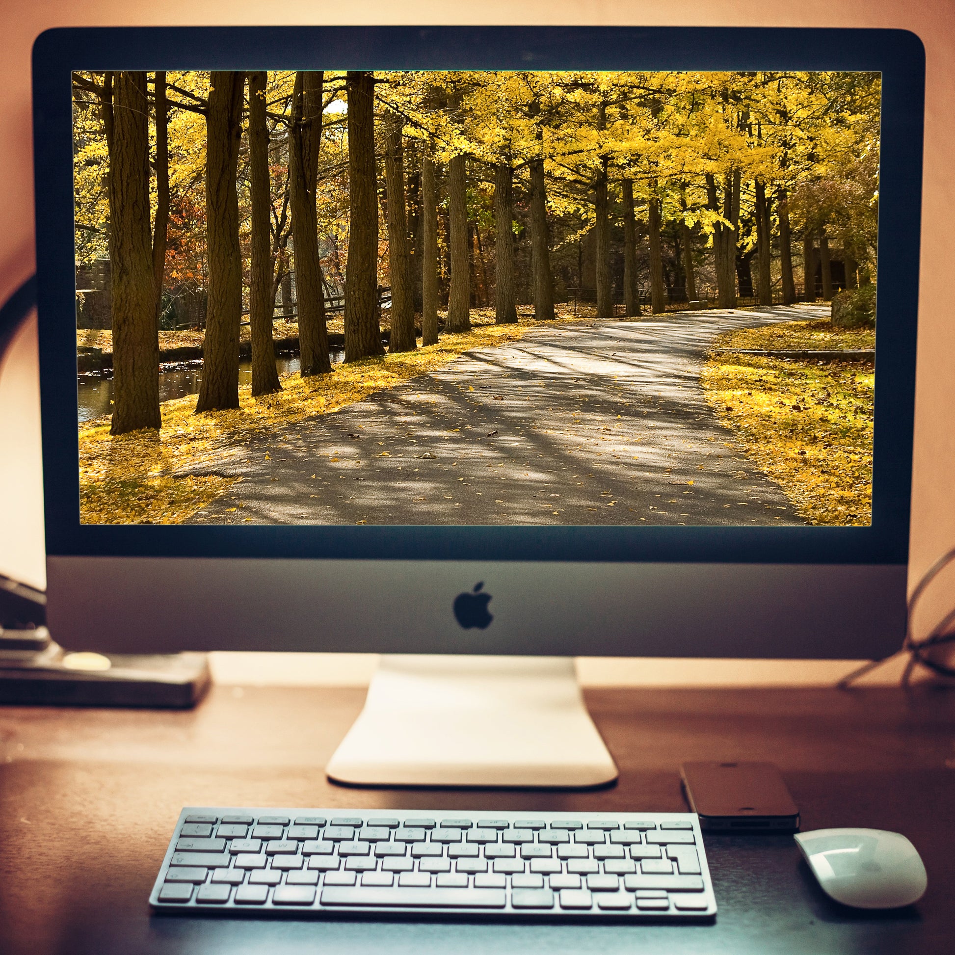 Fall Path Rustic Nature Landscape Photo Wallpaper for Computer 2