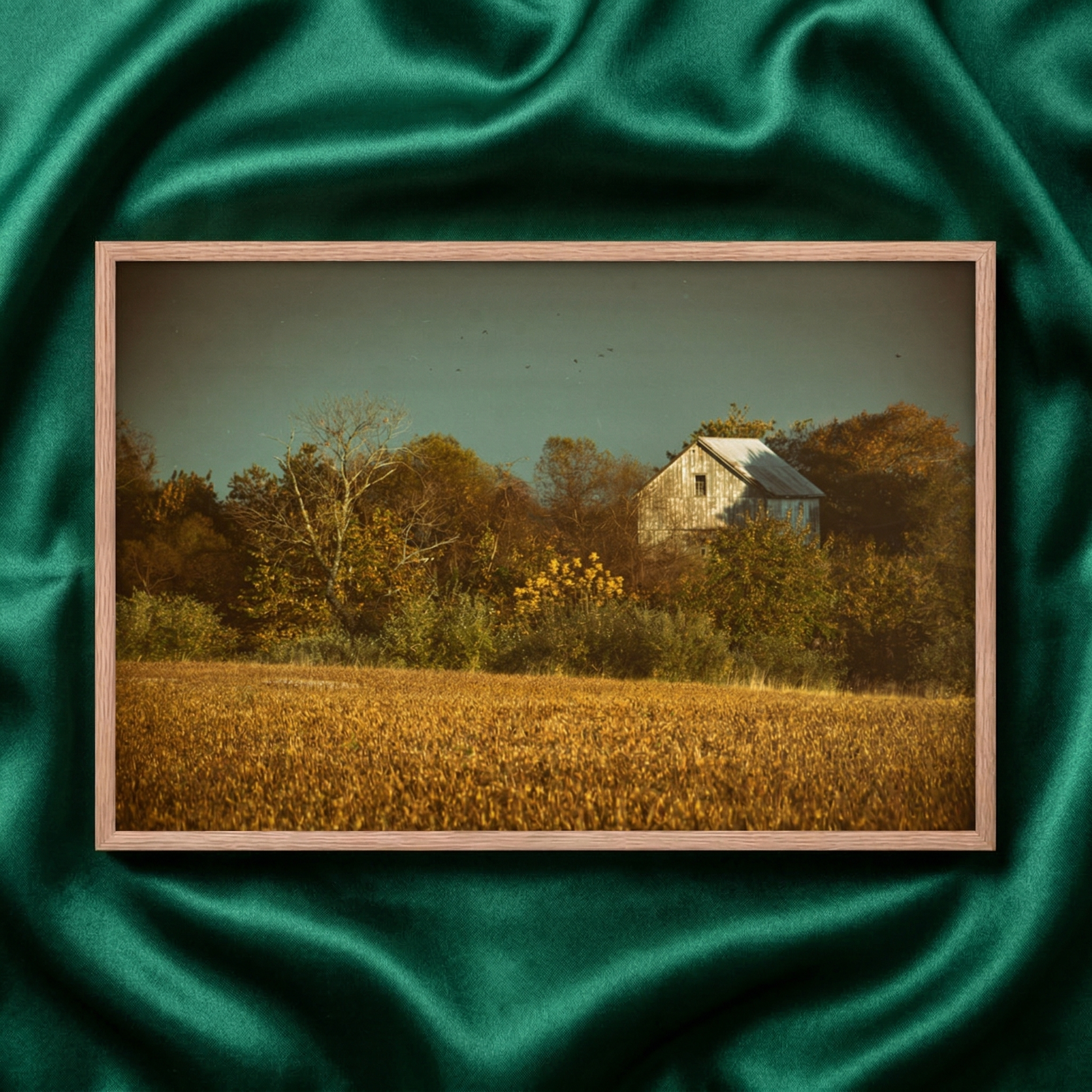 Farmhouse Wall Art Abandoned Barn In The Trees Rural Landscape Photograph -Aged Colorized