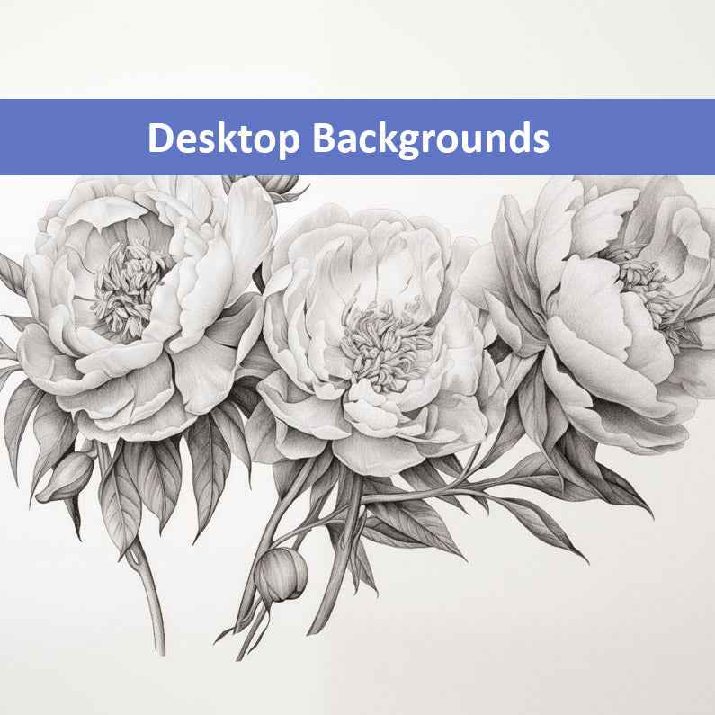 Floral Finesse Pencil Sketch Illustration Digital Artwork Wallpaper for Computer Monitors Smart TVs and Laptop Screens