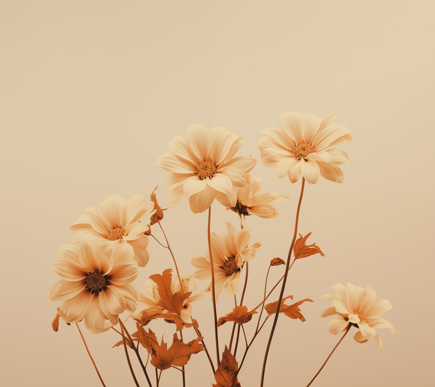 Floral Prints for Walls: A Touch of Cream - Flowers Minimal Photorealism Painting - Digital Artwork Loose Art Print