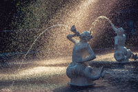 Architectural / Industrial / Cityscape Abstract Decor Fountain Forsyth Park Savannah Ga Loose Wall Art Print 