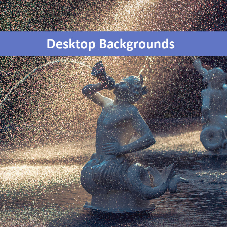 Fountain Forsyth Park Savannah Ga Photography Structure Wallpaper for Computer