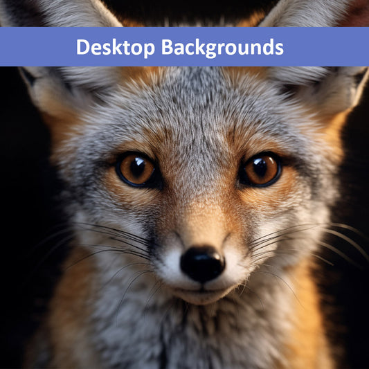 Foxfire Gaze Gray Fox Photorealistic Digital Artwork Wallpaper for Computer
