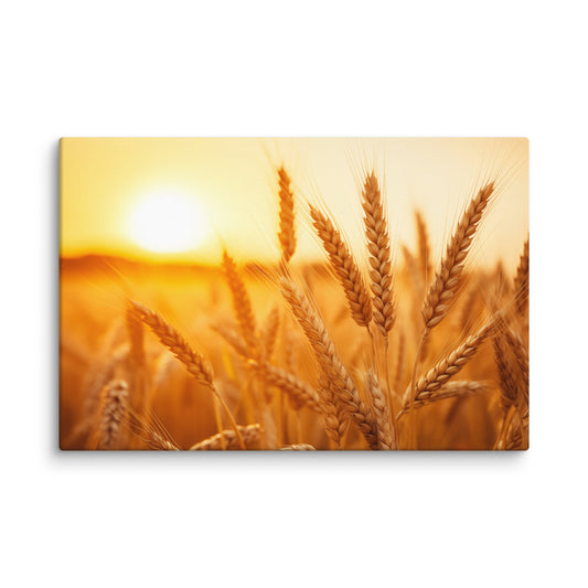 Golden Hour Harvest Minimal Botanical  Rustic Subdued Wheat Crops Photorealistic Digital Artwork Canvas Wall Art Prints
