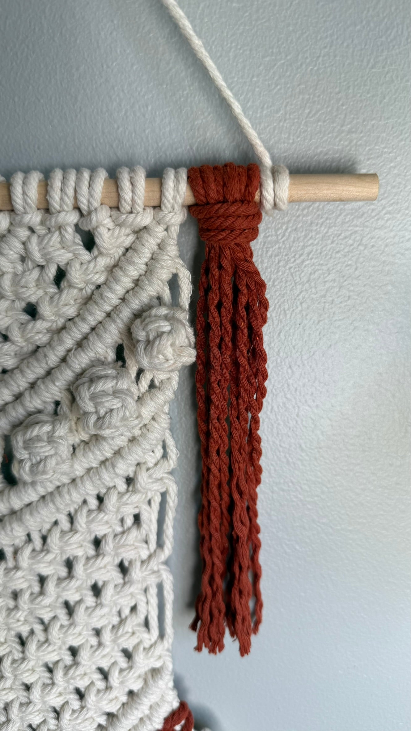 Handcrafted Boho Macrame Wall Hanging – Custom Color Options (4)