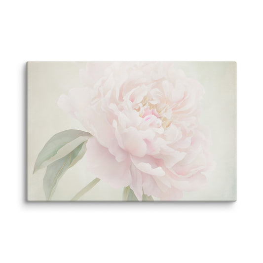 Hazy Bloom Floral Digital Artwork Peony Still Life Canvas Wall Art Print