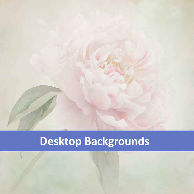 Hazy Bloom Floral Digital Artwork Peony Still Life Wallpaper for Computer Monitors, TVs, and Laptop Screens