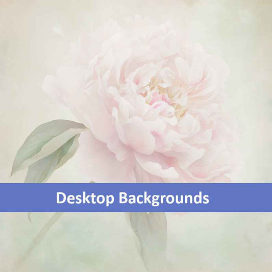 Hazy Bloom Floral Digital Artwork Peony Still Life Wallpaper for Computer Monitors, TVs, and Laptop Screens