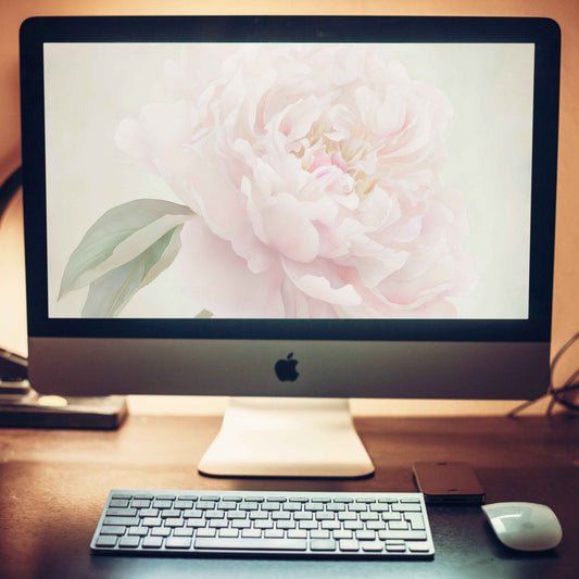 Hazy Bloom Floral Digital Artwork Peony Still Life Wallpaper for Computer Monitors, TVs, and Laptop Screens