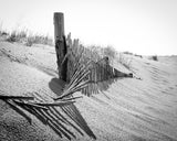 High Key Dunes Coastal Landscape Framed Photo Paper Wall Art Prints