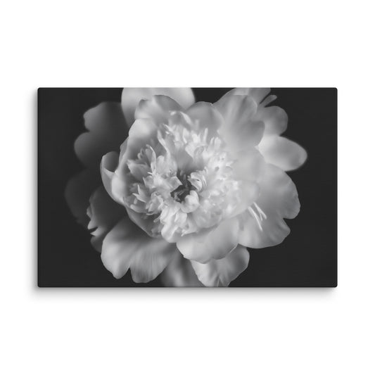 Lingering Fragrance Floral Photorealistic Digital Artwork Peonies Print Canvas Art