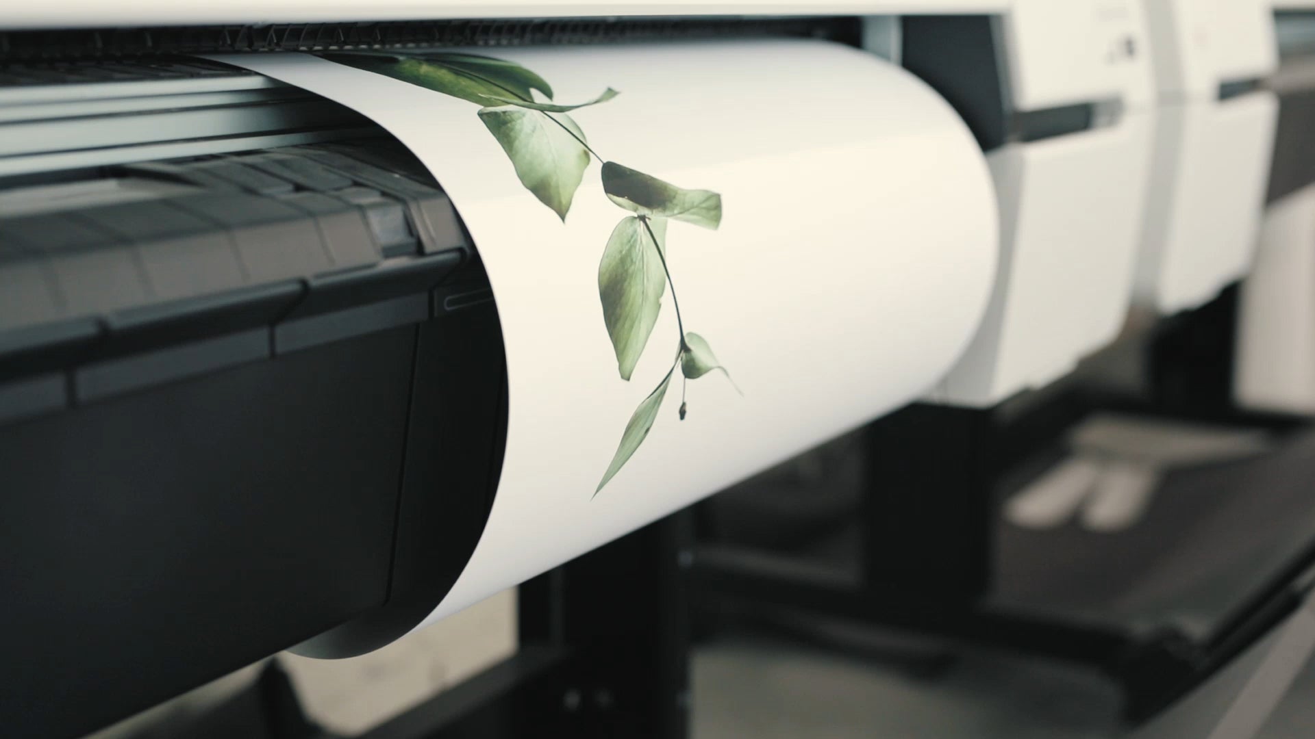 Load video: Loose Unframed Wall Art Print Fulfillment Process