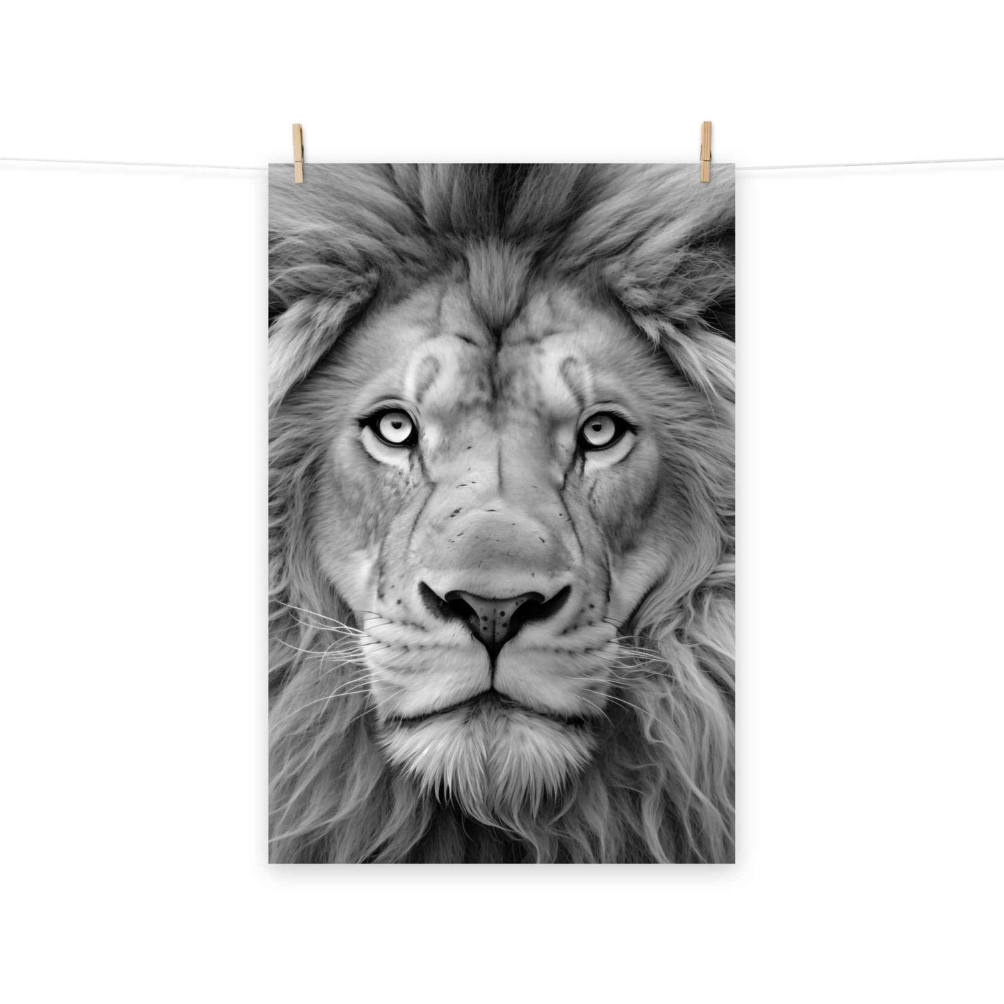Mane Attraction Lion Photorealistic Digital Artwork Black and White Loose Wall Art Print