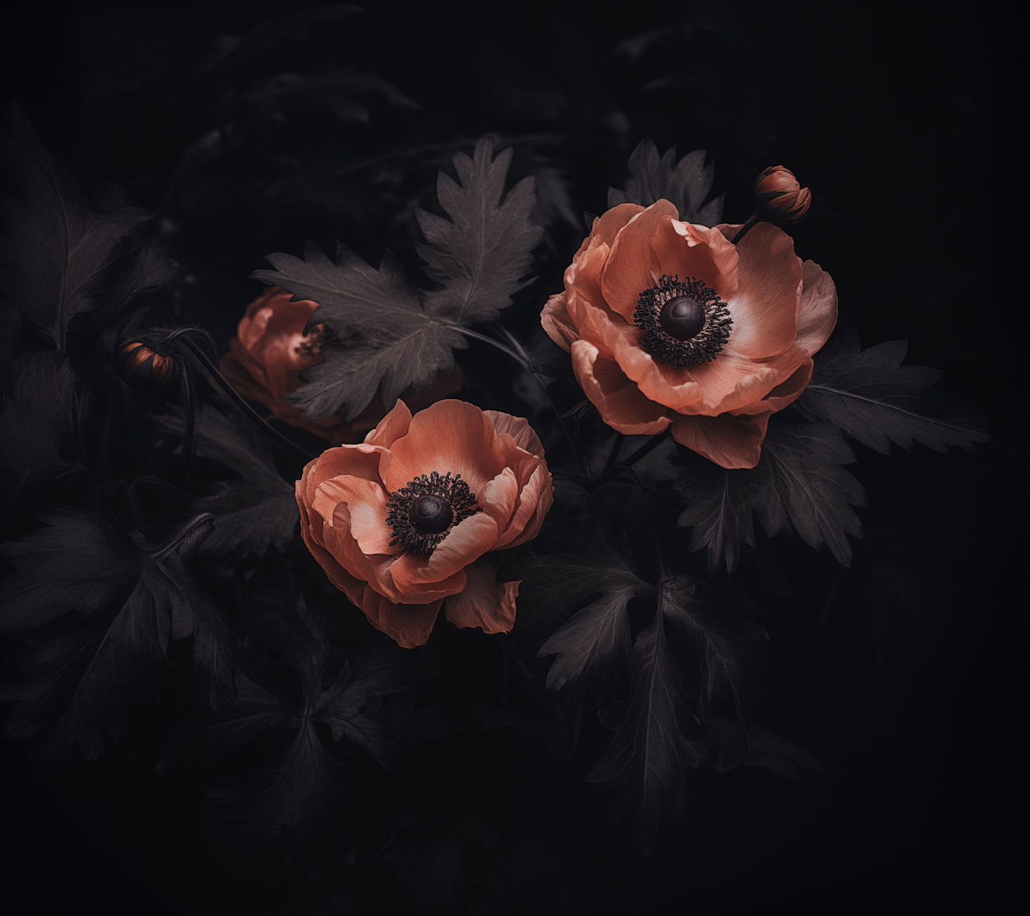 Midnight Majesty Dark Floral Photorealism - Digital Artwork Loose Art Print