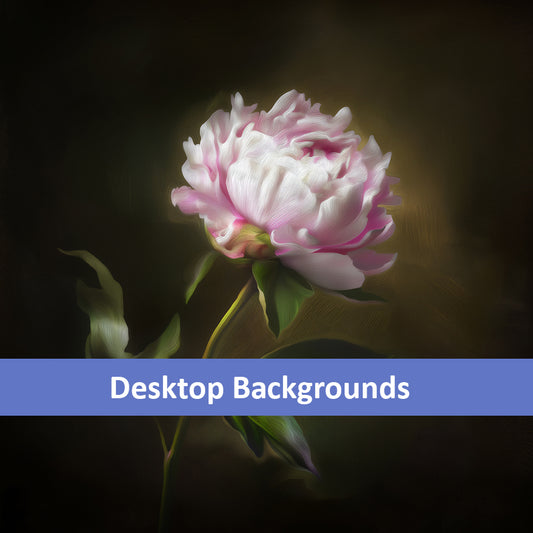 Midnight Radiance Floral Digital Artwork Peony Painting Wallpaper for Computer Monitors Smart TVs and Laptop Screens