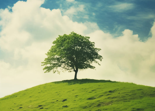 Nature's Majesty Minimal Botanical Retro Subdued Photorealistic Digital Artwork