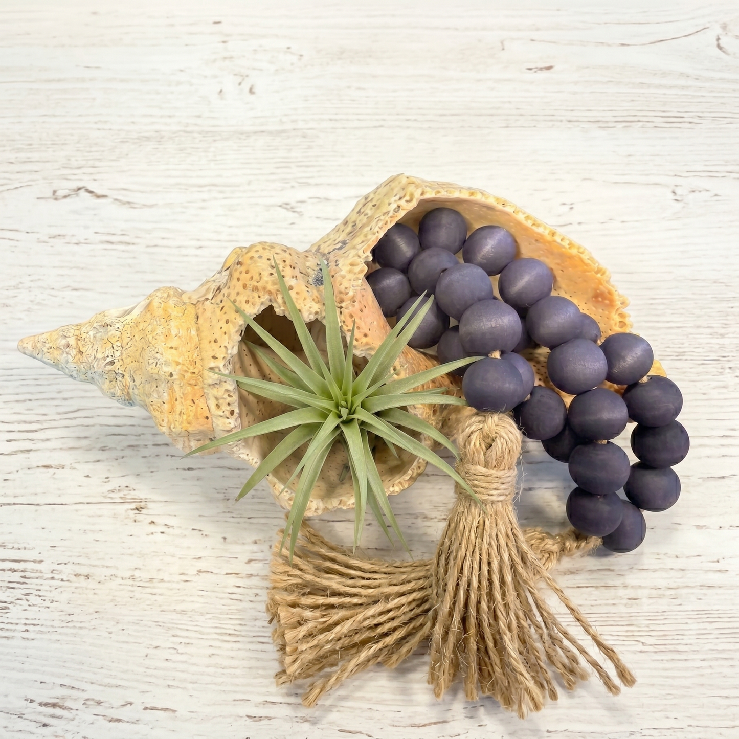 Navy Blue Wood Bead Garland (5) Staged in seashell and air plant