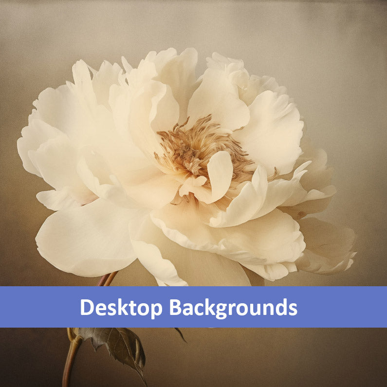 Nostalgic Bloom Retro Subdued Photorealistic Digital Artwork Wallpaper for Computer Monitors Smart TVs and Laptop Screens