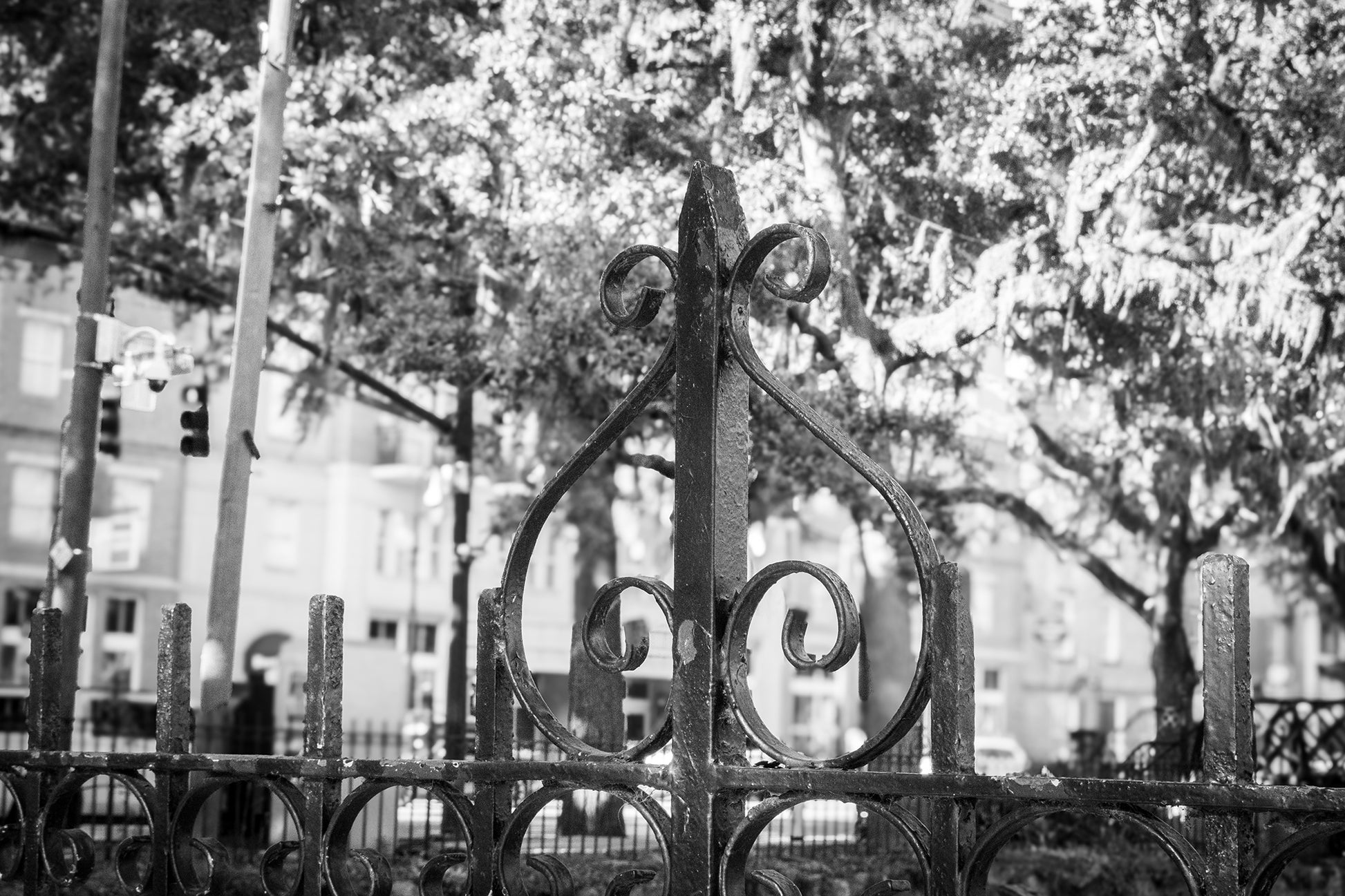 Architectural / Industrial / Cityscape Abstract Decor Old Wrought Iron Fence Gate Savannah Ga 2 Loose Wall Art Print 