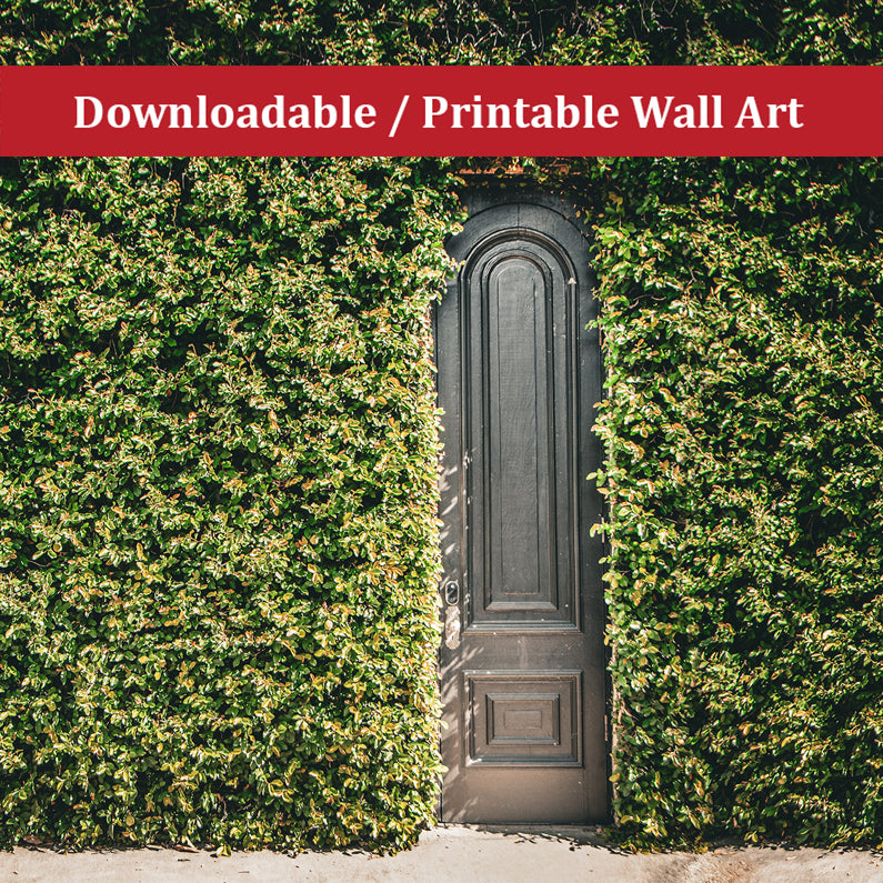 Old Wooden Door and Ivy Savannah Ga Architectural Photo DIY Wall Decor Instant Download Print - Printable