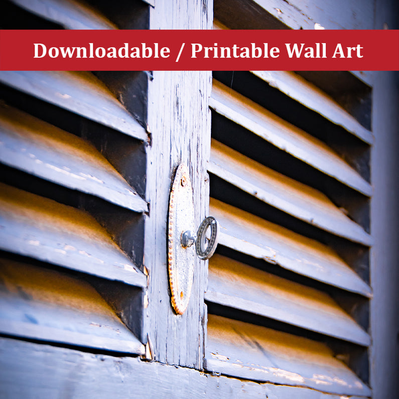 Old Wooden Shutter Door Savannah Ga Architectural Photo DIY Wall Decor Instant Download Print - Printable