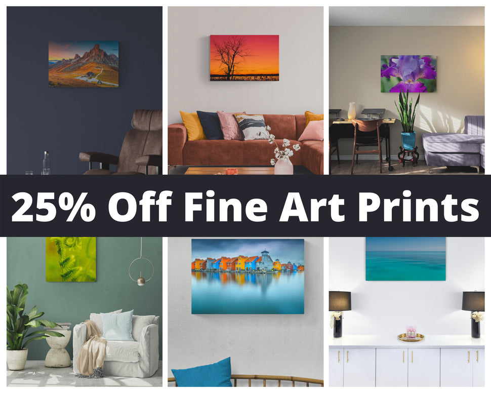 Need help with wall art ideas - we offer a variety of wall art canvas prints, framed art prints, unframed art prints for your living room, bedroom, dining room bathroom, home offices and more.
