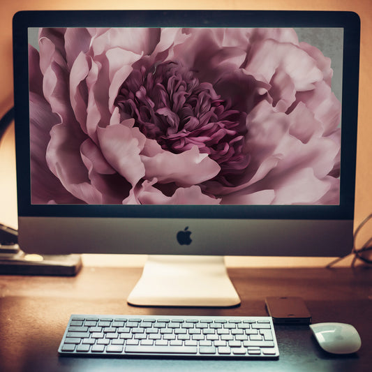 Painted Grace  Floral Digital Artwork Pink Peony Wallpaper for Computer Monitors Smart TVs and Laptop Screens 2