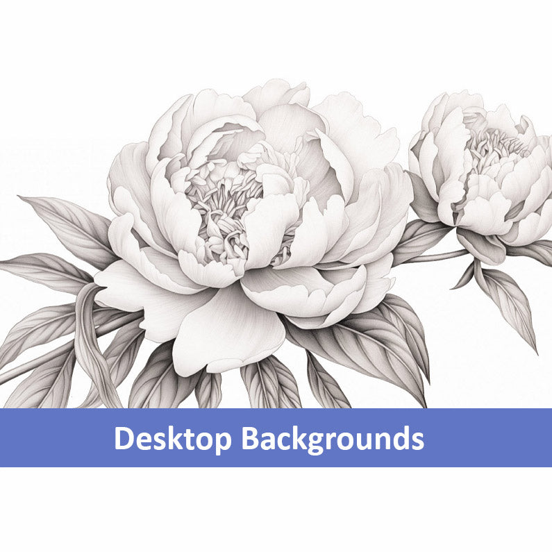 Pencil Petals Pencil Sketch Digital Artwork Wallpaper for Computer Monitors Smart TVs and Laptop Screens