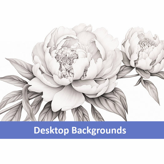 Pencil Petals Pencil Sketch Digital Artwork Wallpaper for Computer Monitors Smart TVs and Laptop Screens