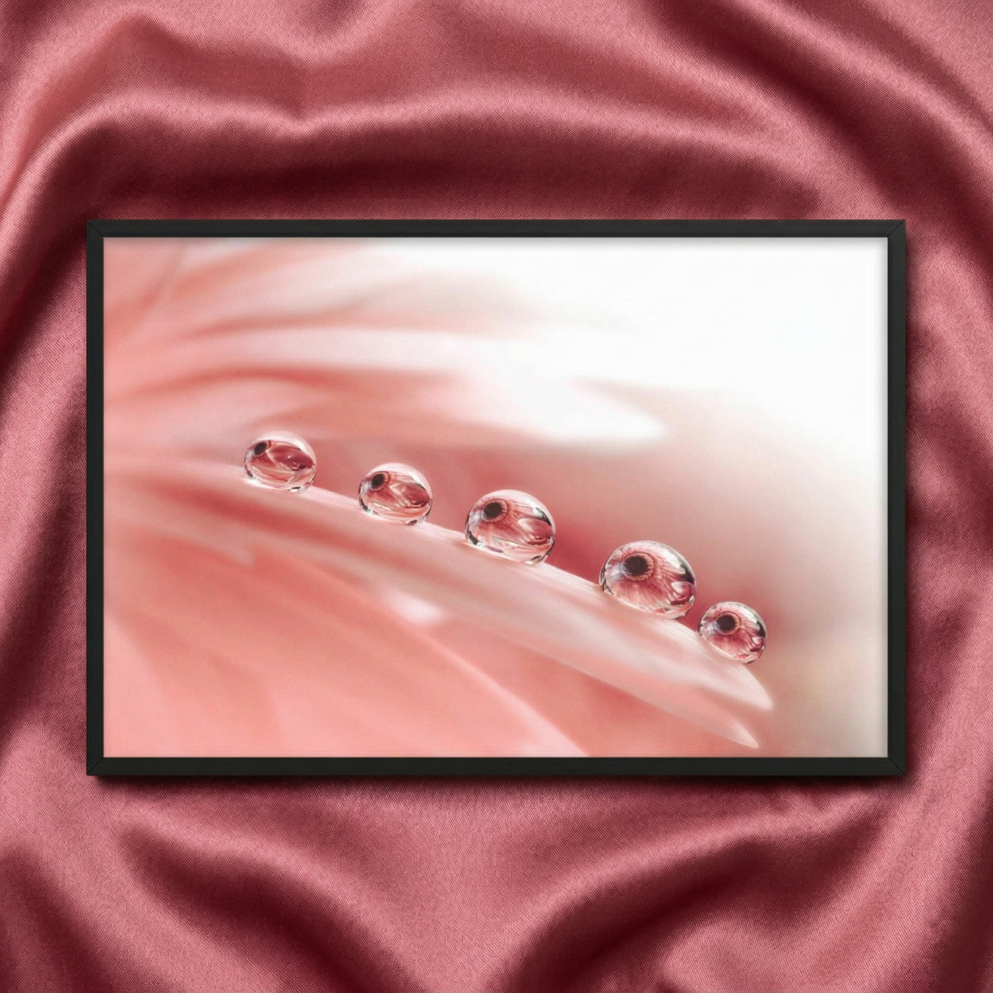 Pink Floral Wall Decor Dew Drops on Gerbera Daisy Petals Floral Botanical Photograph Artwork Print