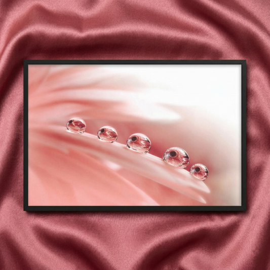 Pink Floral Wall Decor Dew Drops on Gerbera Daisy Petals Floral Botanical Photograph Artwork Print