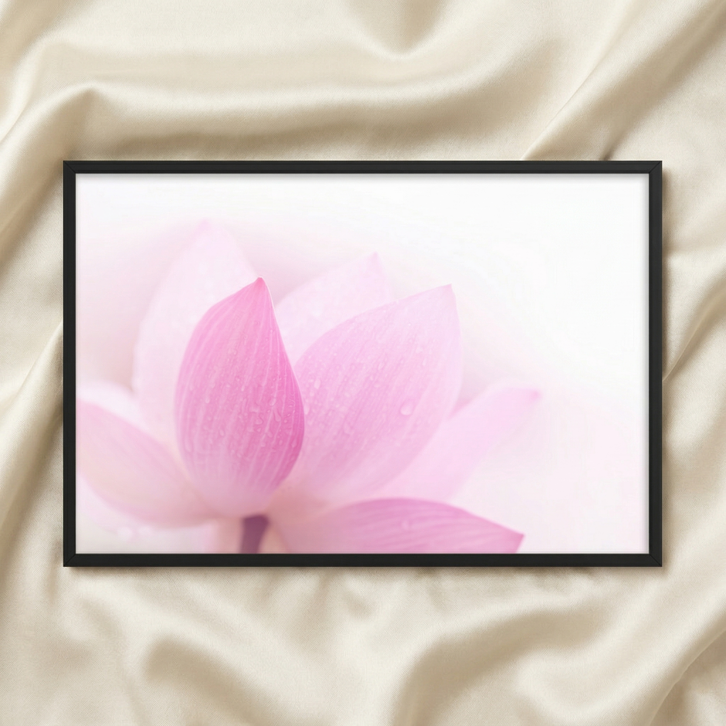 Pink Flower Prints Closeup on Lotus Petals Floral Nature Photograph Framed