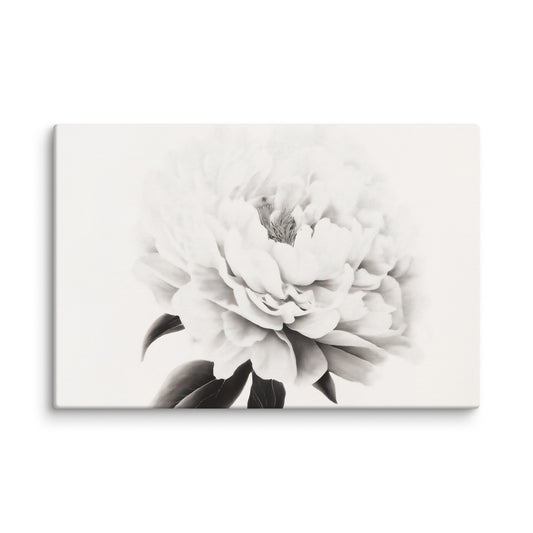 Pure Petals  Floral Digital Artwork Abstract Peony Print Canvas Art