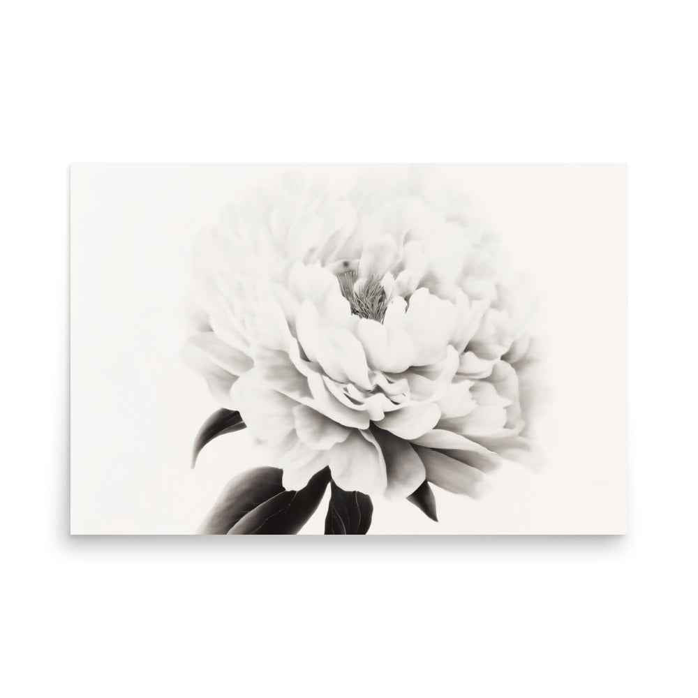 Pure Petals Floral Digital Artwork Abstract Peony Print Unframed