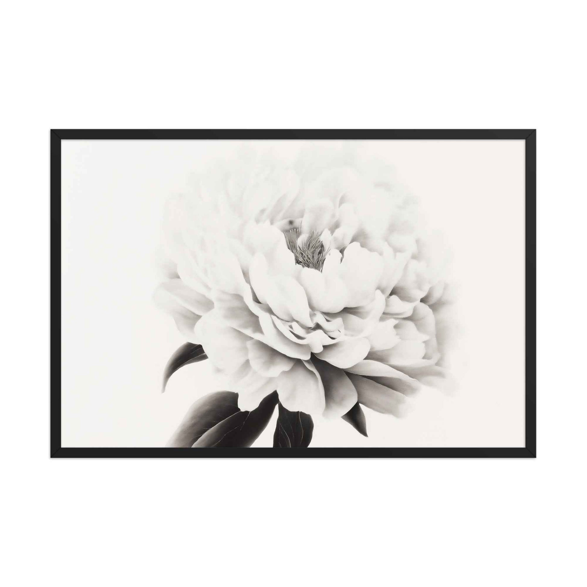 Pure Petals Floral Digital Artwork Abstract Peony Print Framed Wall Art