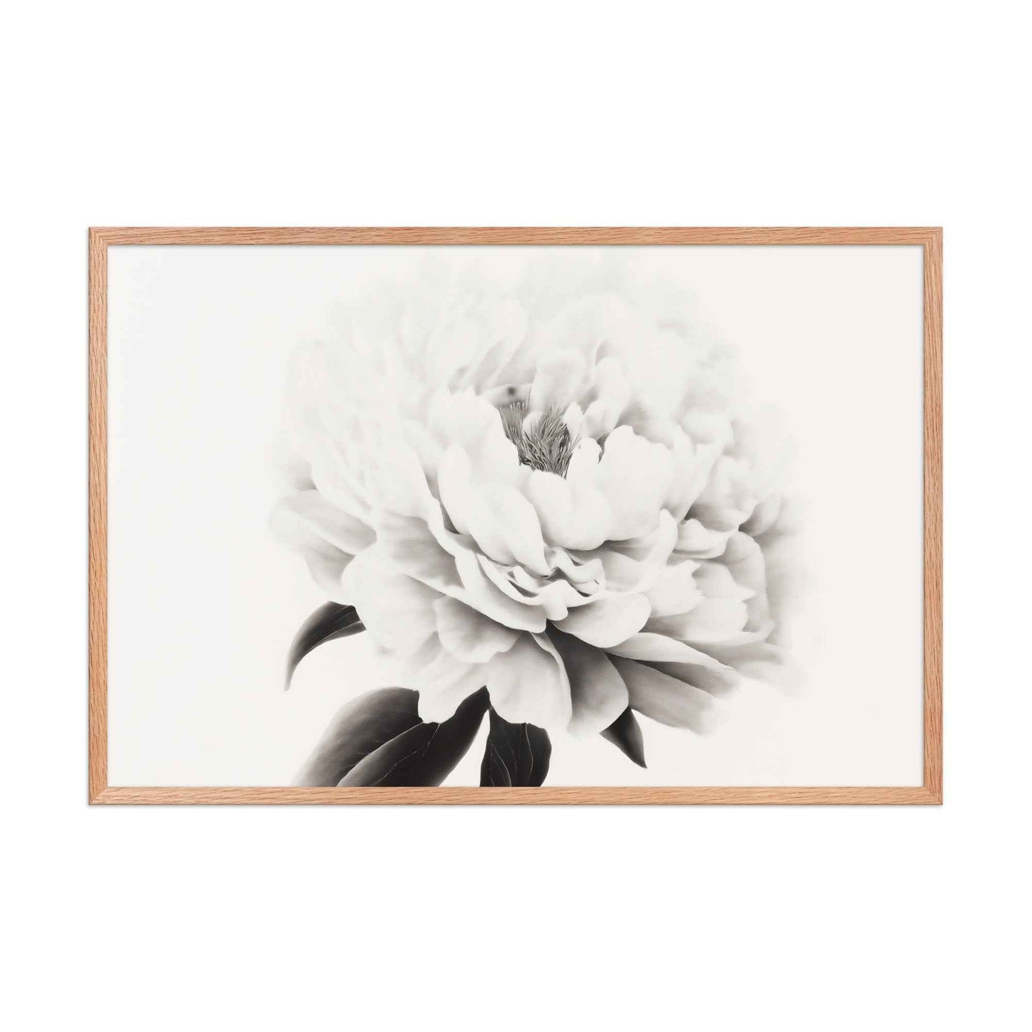 Pure Petals Floral Digital Artwork Abstract Peony Print Framed Wall Art