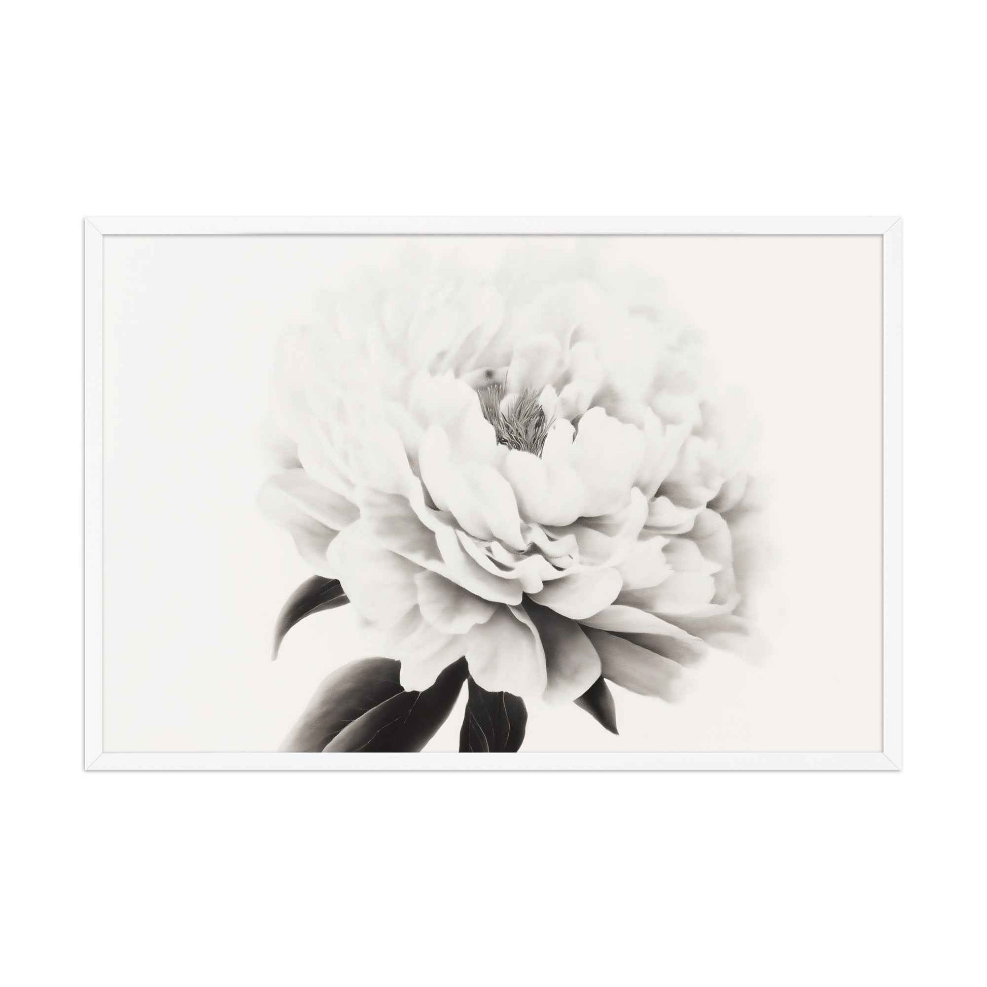 Pure Petals Floral Digital Artwork Abstract Peony Print Framed Wall Art