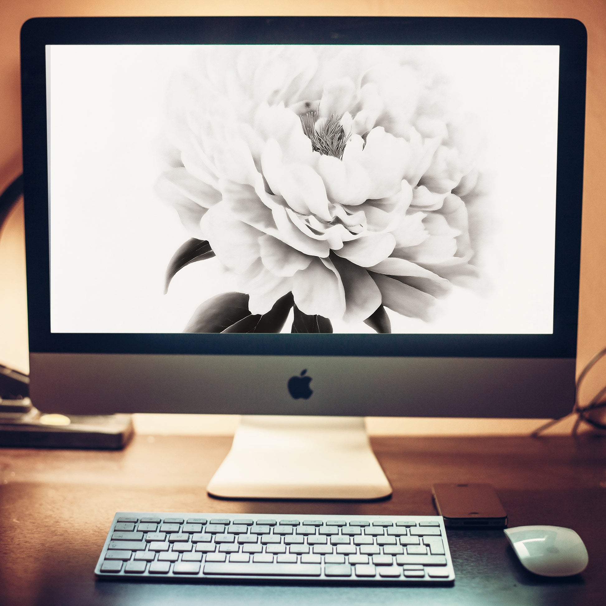 Pure Petals  Floral Digital Artwork Abstract Peony Print Wallpaper for Computer Monitors Smart TVs and Laptop Screens 2